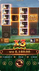 rp55 · Buffalo Win
